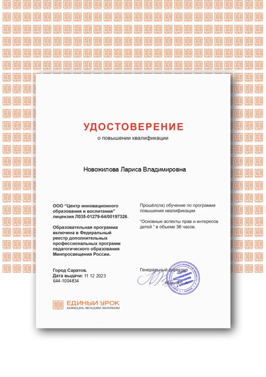 Сертификат Основные аспекты прав и интересов детей декабрь 2023г.png