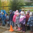 IMG_8016.jpg