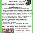Не спешите водители!.jpeg