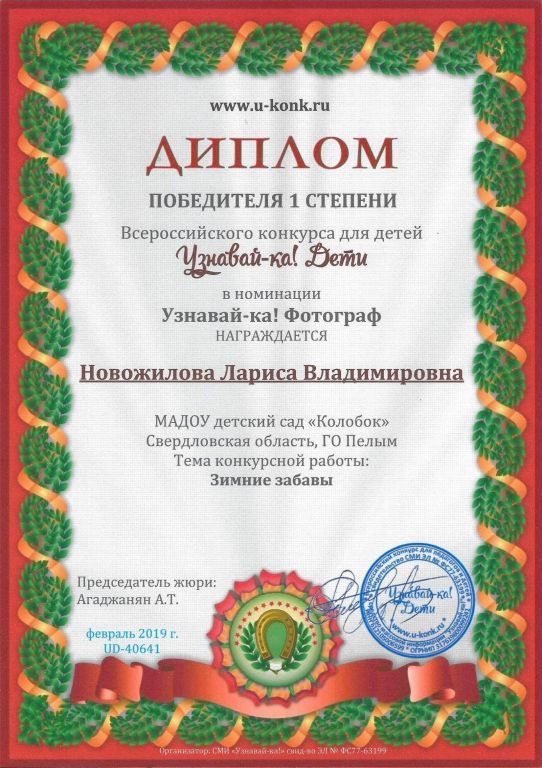 Всеросиссийский конкурс 2019г.jpg